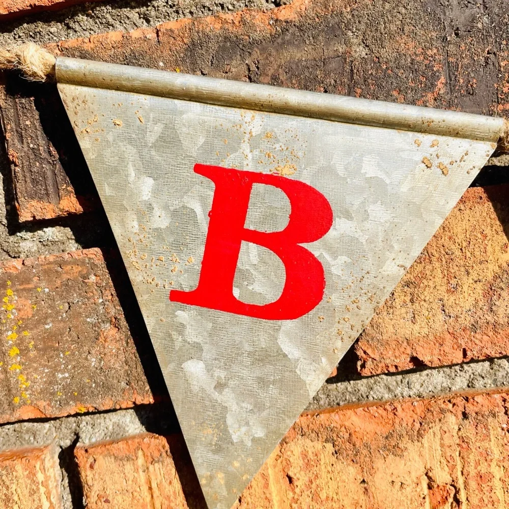 *Believe Metal Pennant Garland 45”